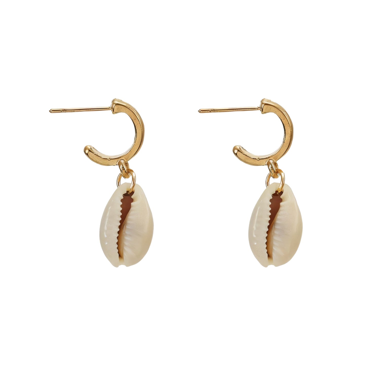 Seashell Earrings Hoop and Puka Shell - Curatelle